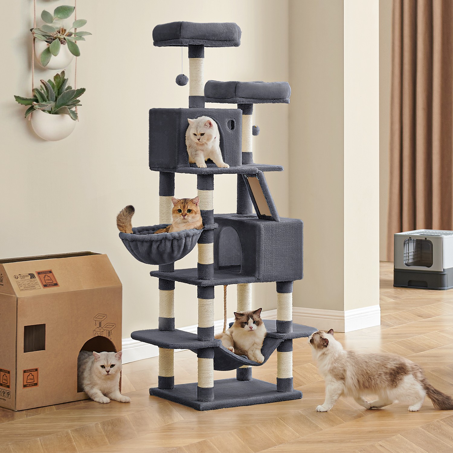 Kassipuu 168 cm kahe koopaga