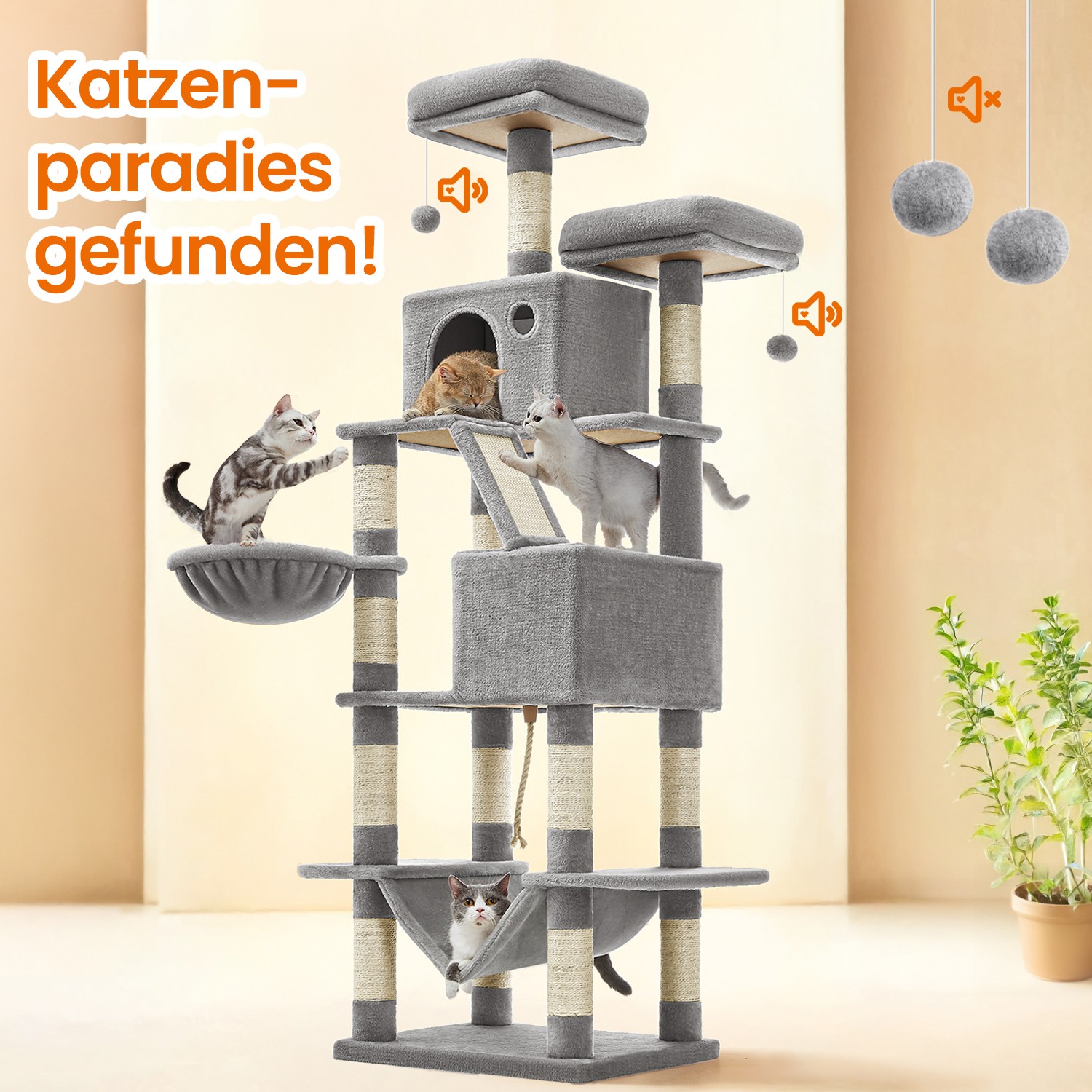 Kassipuu 168 cm kahe koopaga