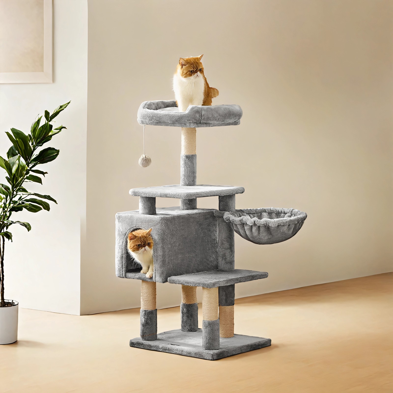 Kassipuu, 110 cm kõrge, helehall