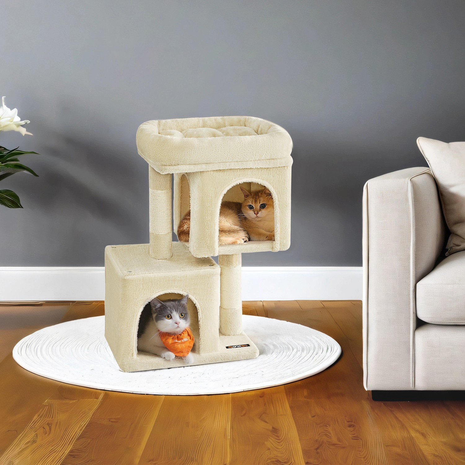 67 cm väike beež kassipuu