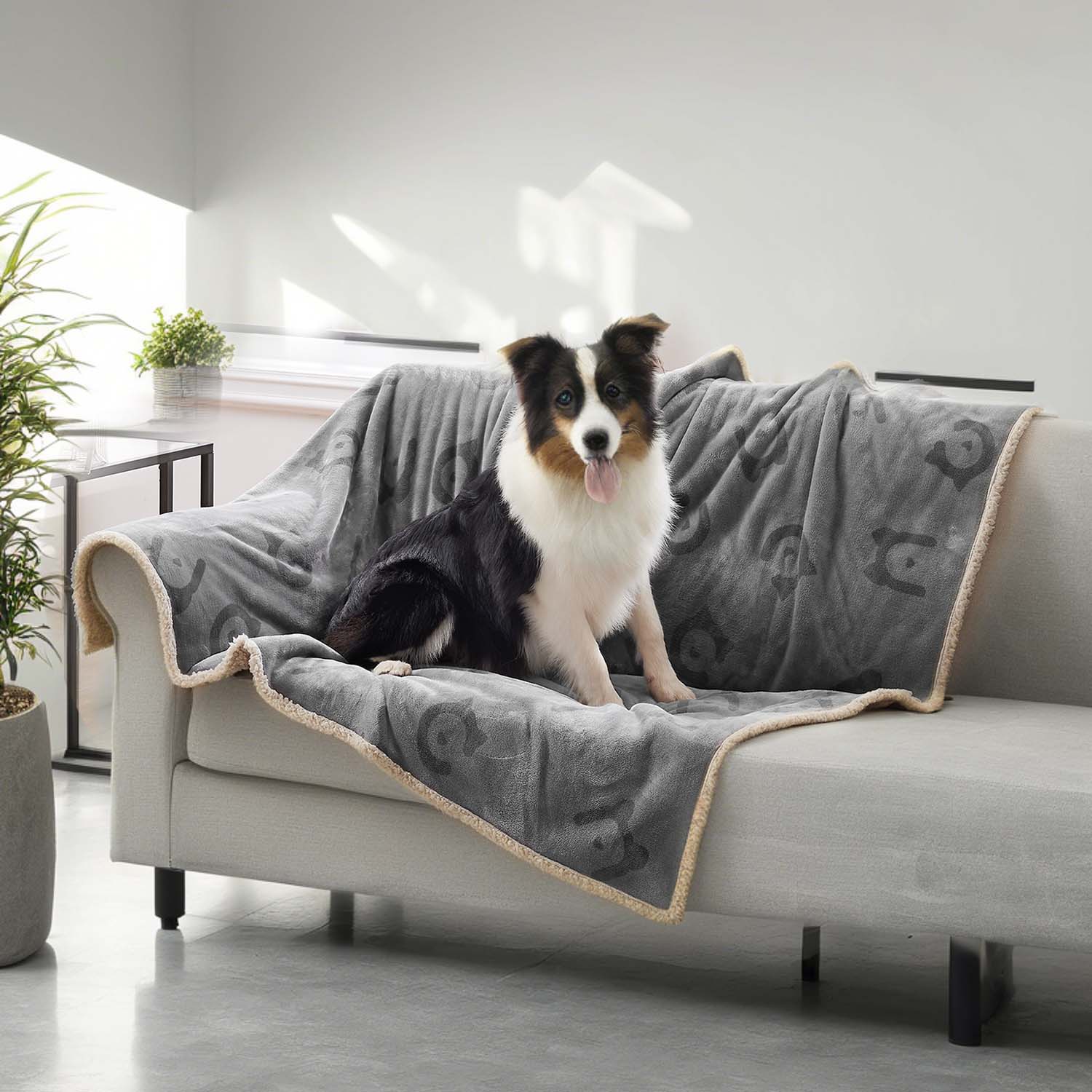 Veekindel koeratekk, lemmikloomatekk, masinpestav