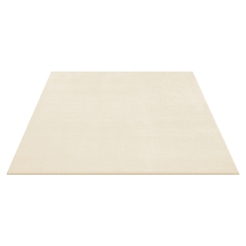 Vaip, 160 x 230 cm, elutoa vaip