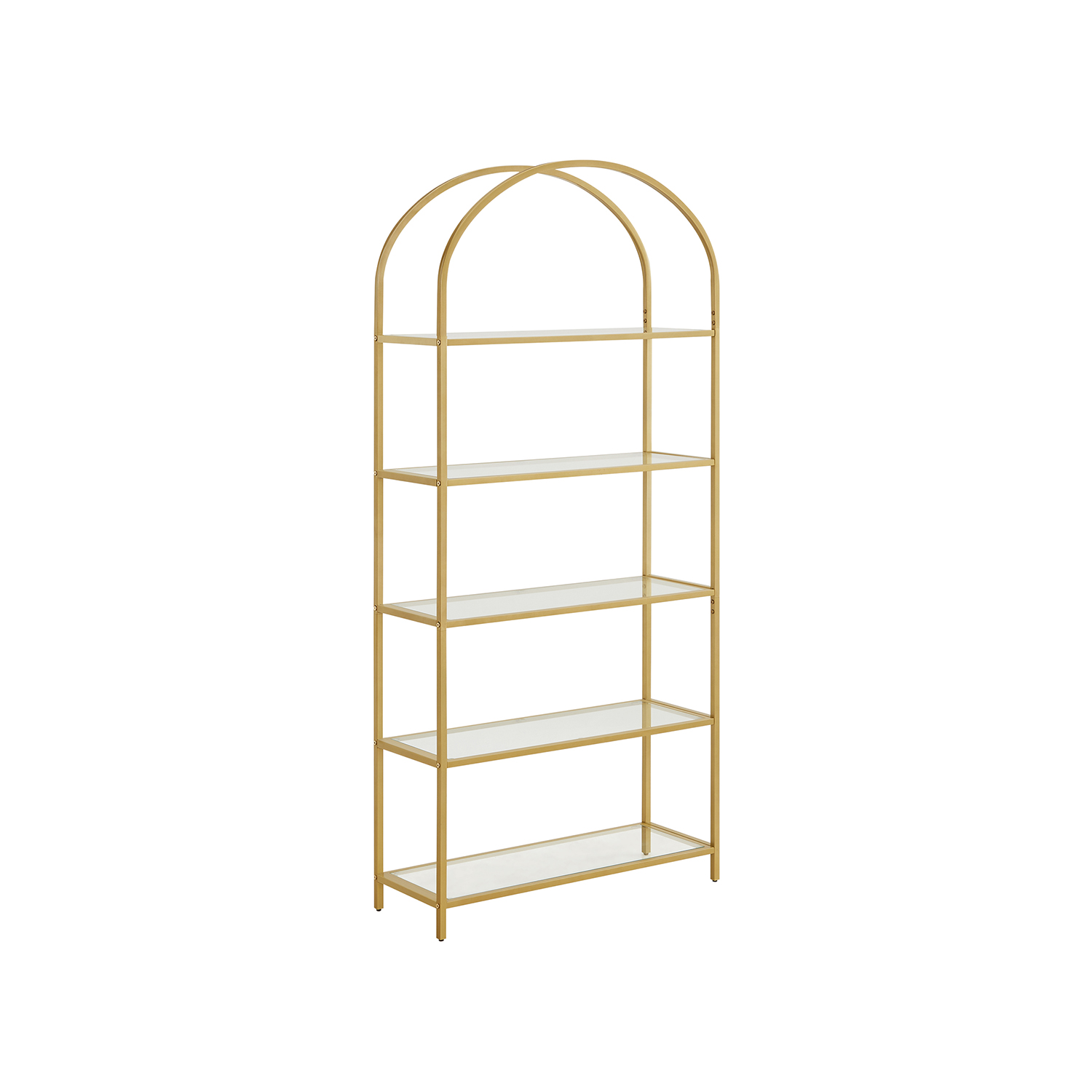 Karastatud klaasist 5 riiuliga raamaturiiul