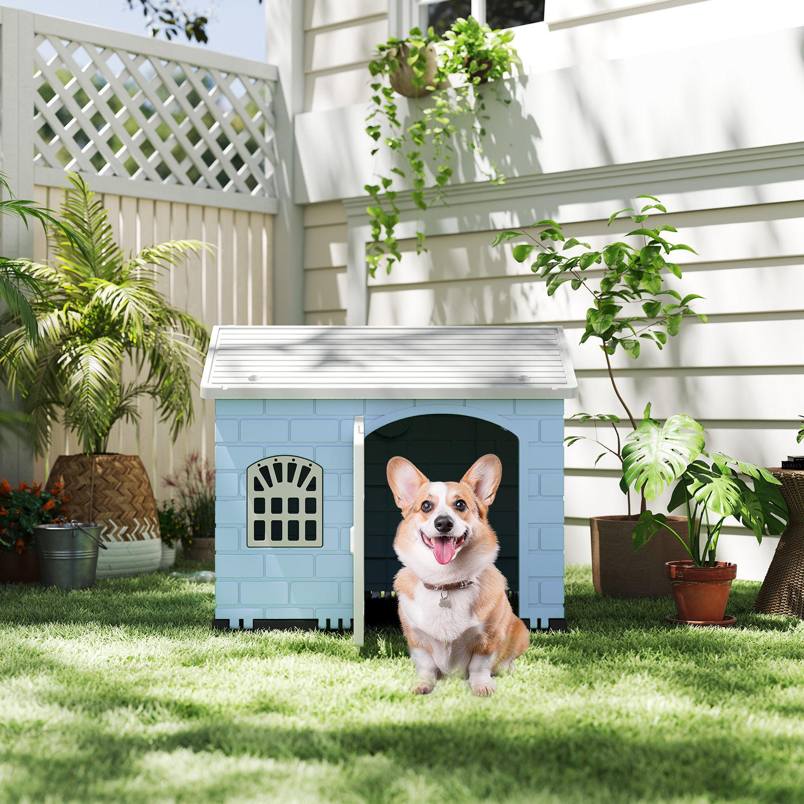 Plastikust ilmastikukindel koerakuut lukustatava uksega sinine