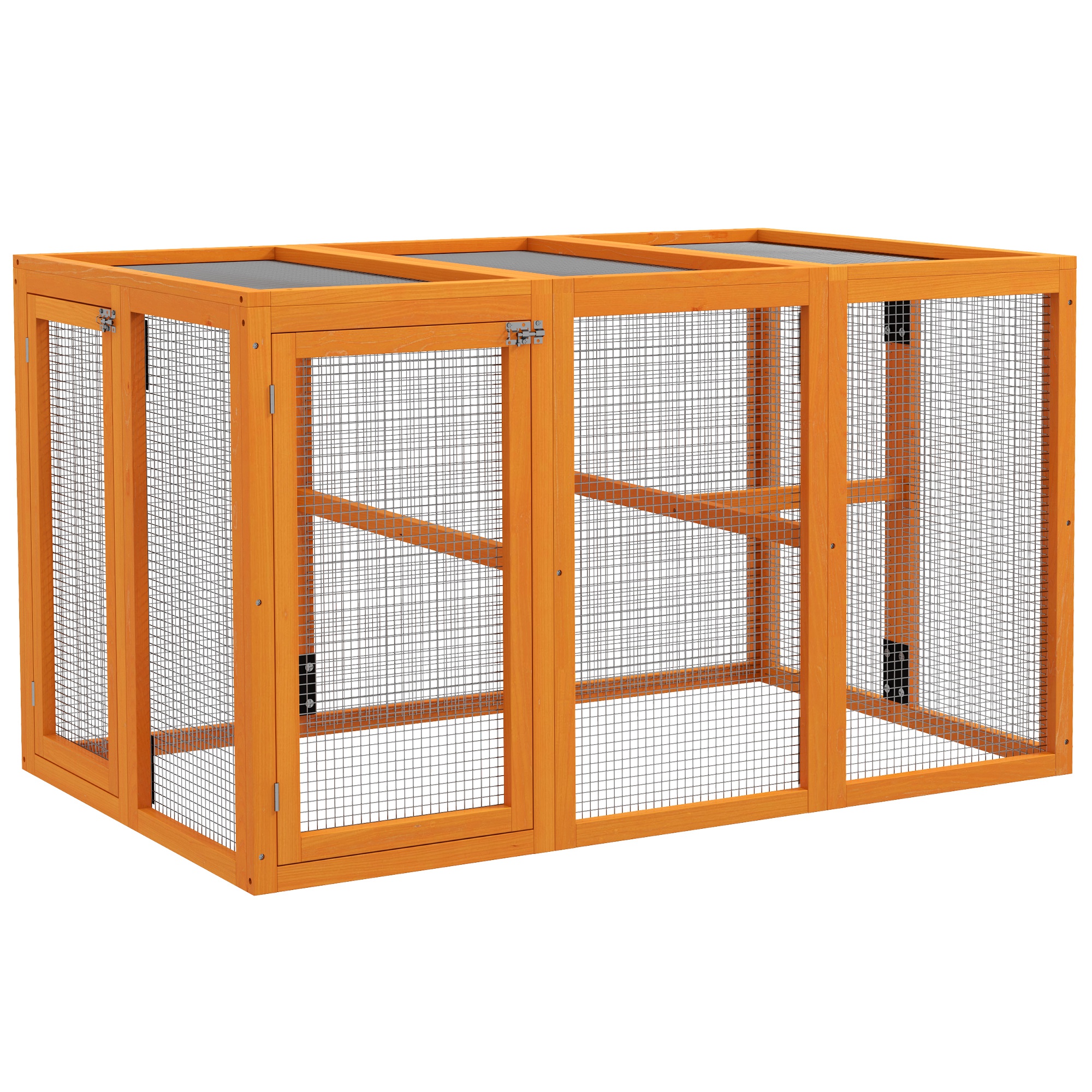 Kanakuut, oranž