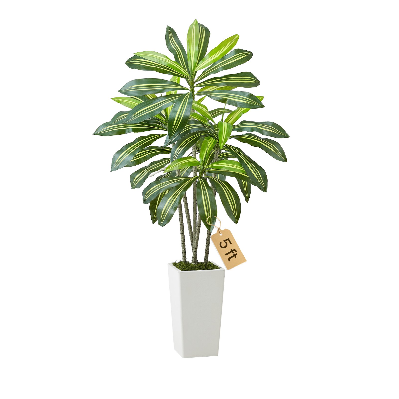 Kunstlik dracaenapuu 1524 mm kunstpalm troopilised taimed valge kõrge lillepotiga kunstpõranda siidist taim potis