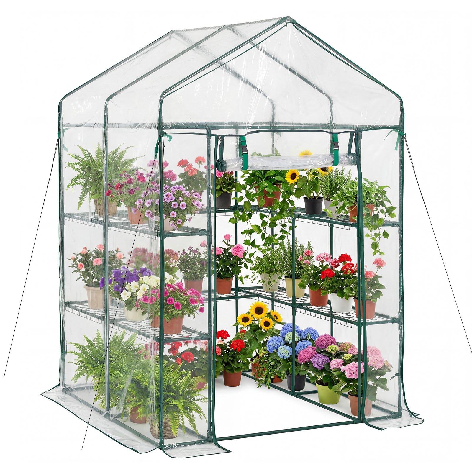 Sisseastutav kasvuhoone 137 x 137 x 196 cm kasvuhoone õue PVC-kattega 2 tasandit 10 riiulit rulluv lukuga uks
