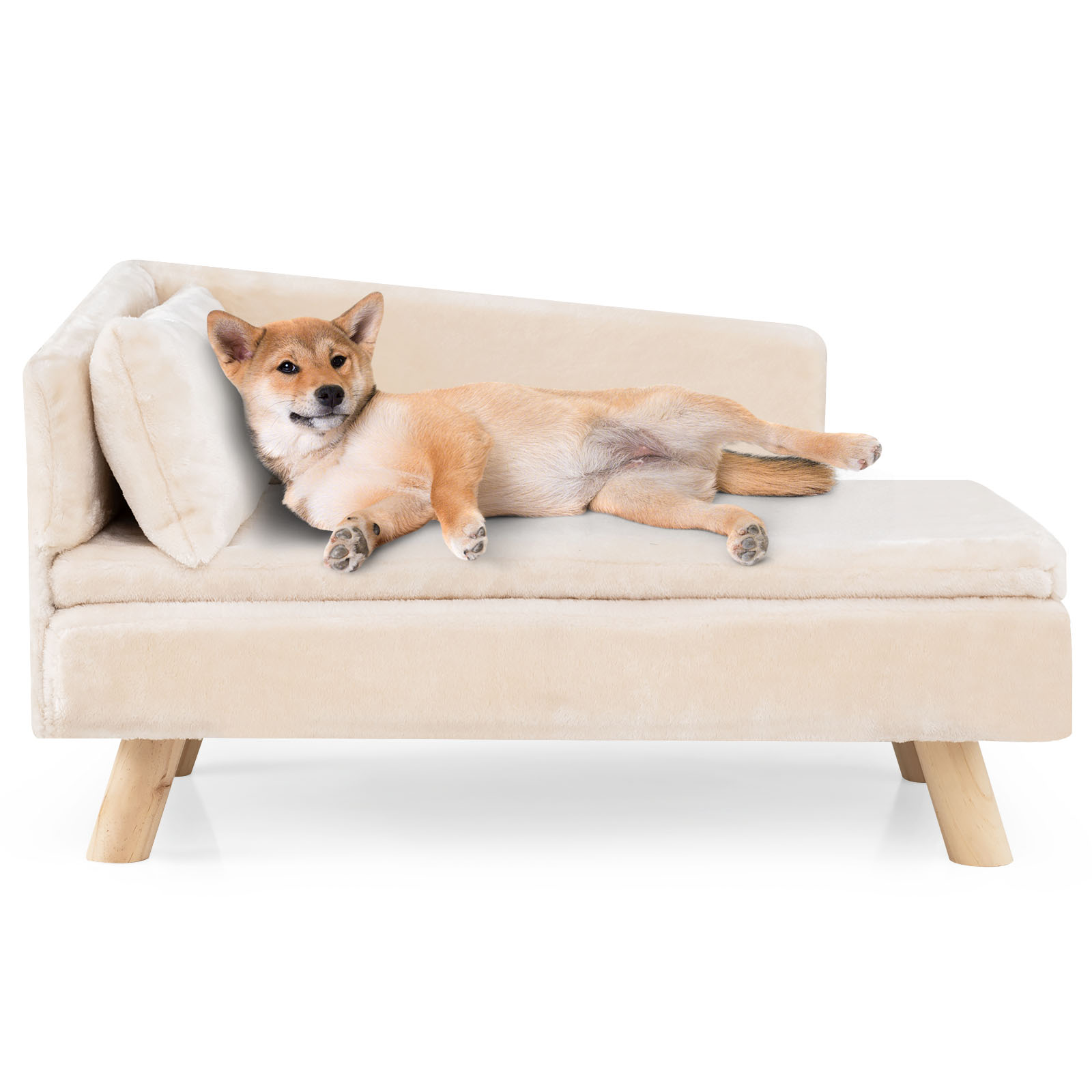 Kõrgendatud koeradiivan keskmistele ja väikestele koertele, kutsikatele, kassidele ja kassipoegadele, valge koeradiivan