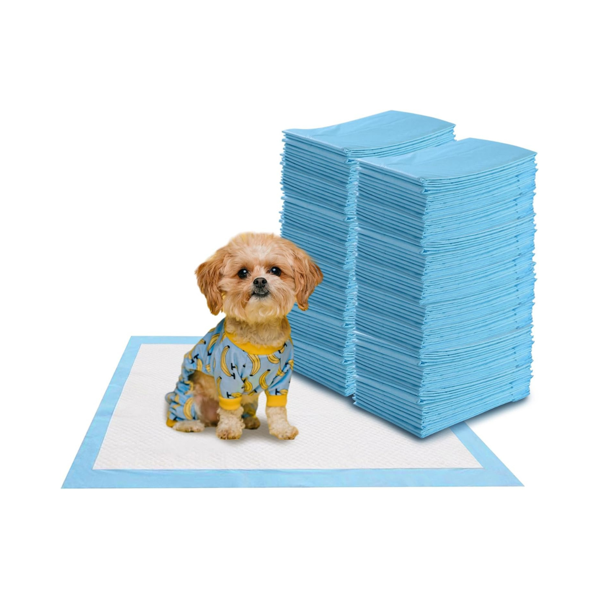 Pakis 100 koerte treeningpatja koos lekkekindla 5-kihilise disainiga kutsikapatjadega 60 x 60 cm