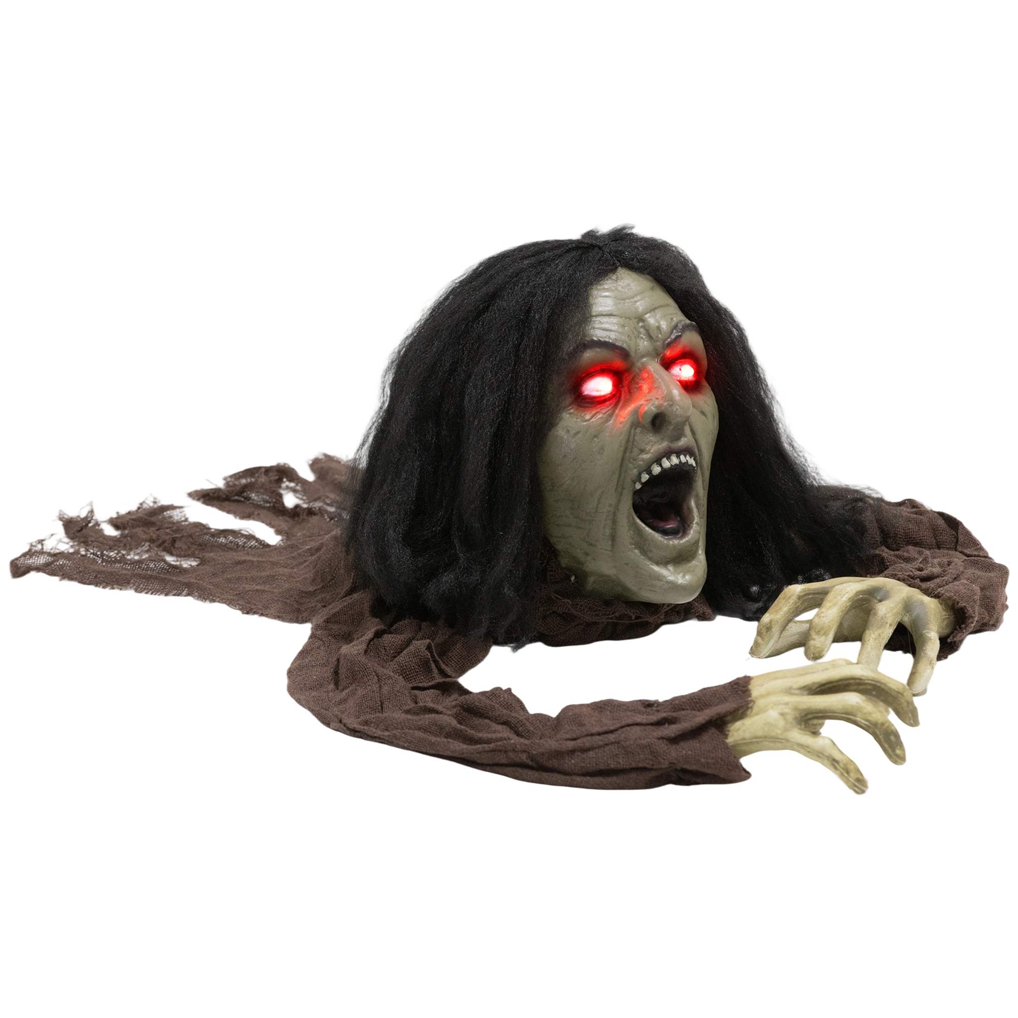 Roomav zombi