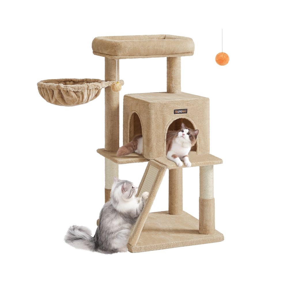 Kassipuu, suure platvormiga kassipuu, beez