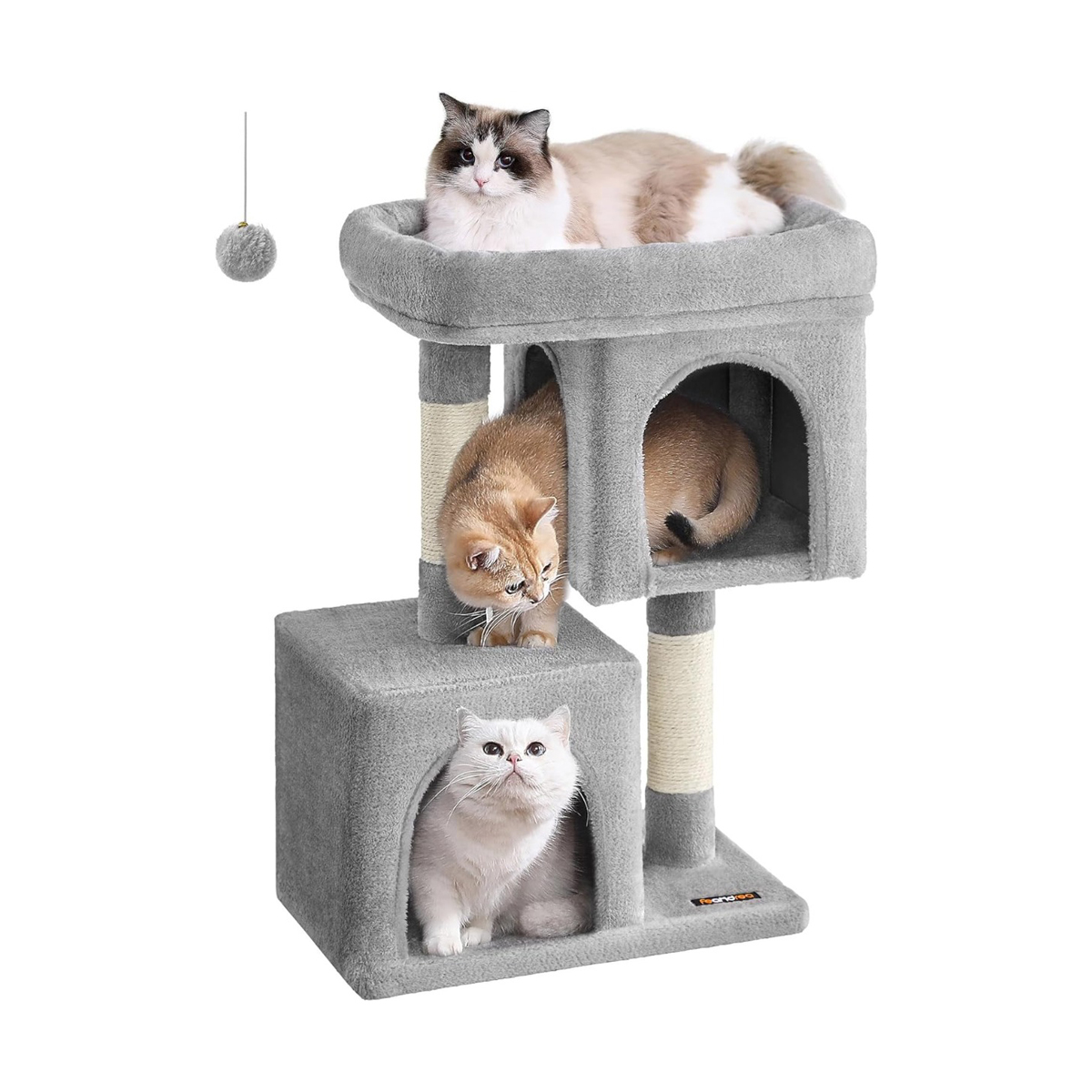 Kassi kraapimispuu, kõrgusega 101cm, suure platvormi ja 2 plüüsikoopaga