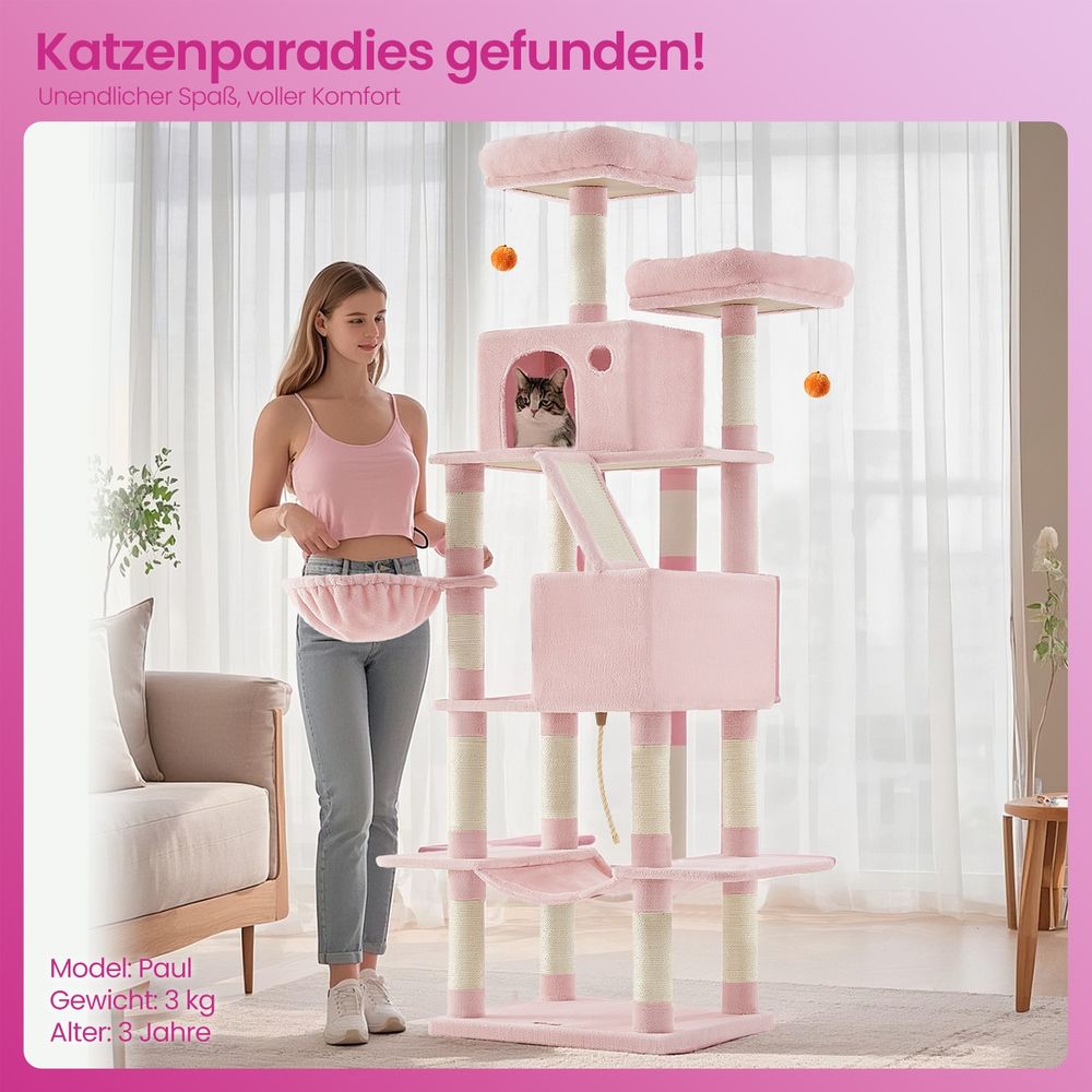 Kraapimispuu 206 cm kõrge, kassipuu, 13 kraapimissambaga