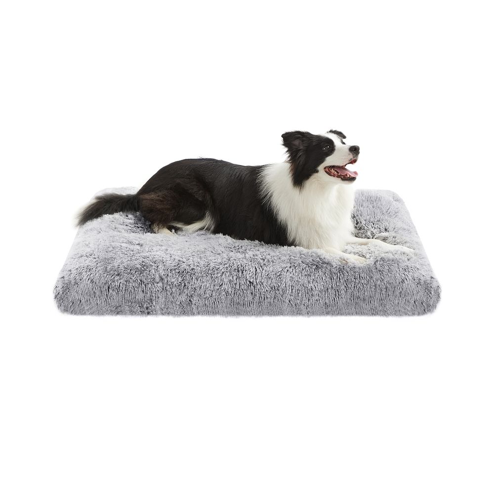 Feandrea koeravoodi, koerapadi, kohev koeramatt, pikk plüüsist, 80 x 50 cm, pehme polsterdusega, masinpestav, koerakorv, multifunktsionaalne, kaasaskantav, helehall