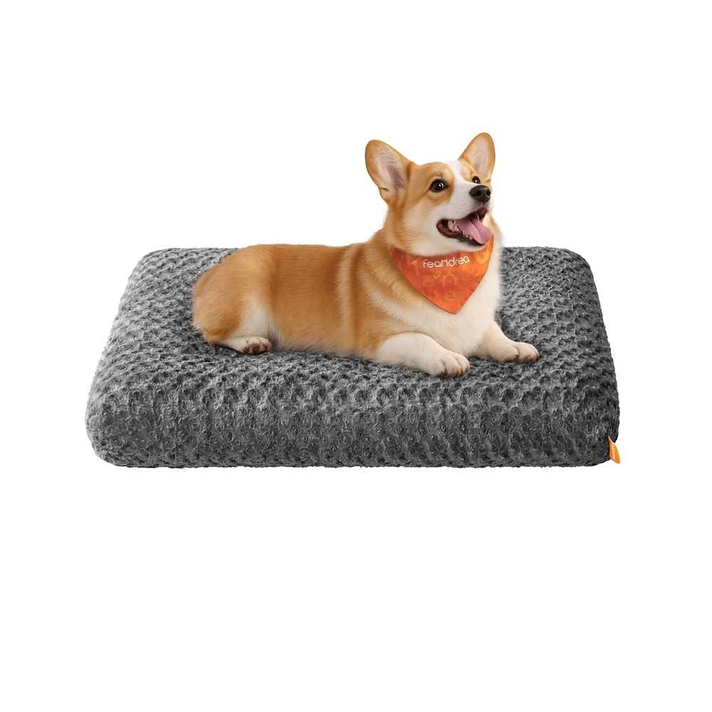 Feandrea koeravoodi, koerapadi M, väikestele koertele, kohev koeramatt, plüüs, 80 x 50 cm, pehme polsterdusega, pestav, libisemiskindel, kiltkivihall