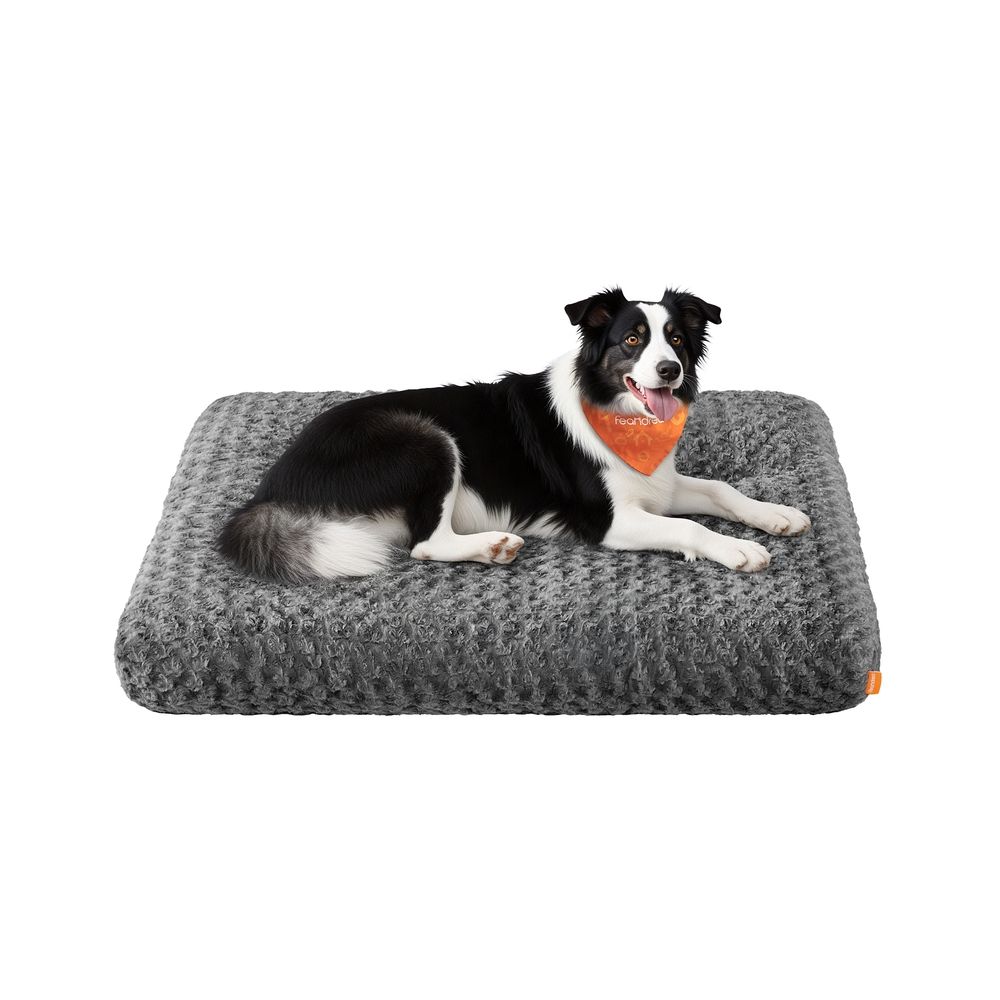 Koeravoodi, koerapadi M, väikestele koertele, kohev koeramatt, plüüs, 80 x 50 cm, pehme polsterdusega, pestav, libisemiskindel, kiltkivihall