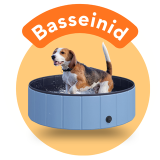 Basseinid