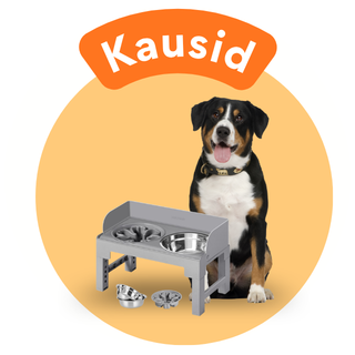 Kausid