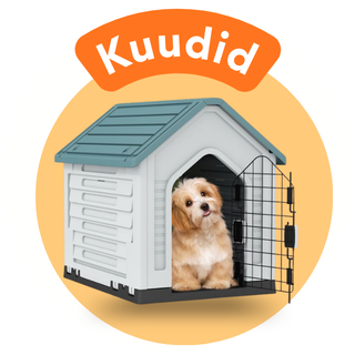 Kuudid