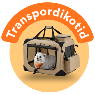 Transpordikotid