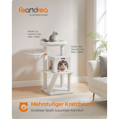 Seinariiul 60cm LWS26BX