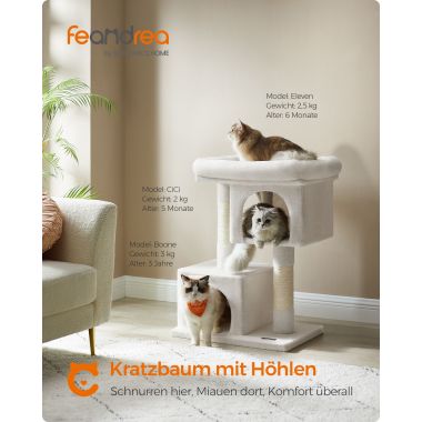 Seinariiul 60cm LWS26BX