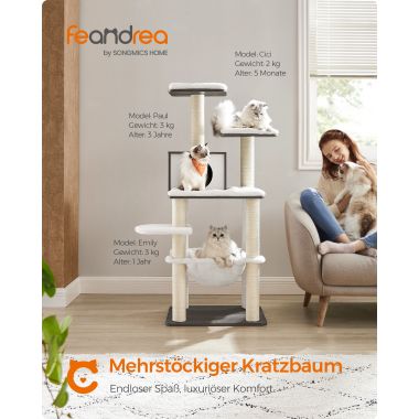 Seinariiul 60cm LWS26BX