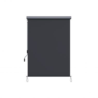 Seinariiul 60cm LWS26BX