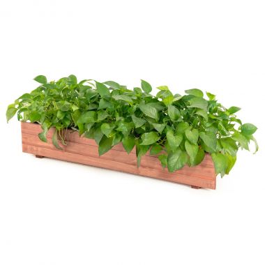 Seinariiul 60cm LWS26BX