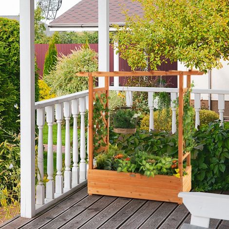 Kõrgepeenar kaarvõreseinaga ja rippuva katusega 110 x 44 x 113,5 cm oranž