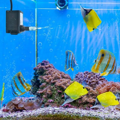 30 W mini akvaariumi pump 2,5 m tõstekõrguse, 1,83 m toitekaabli ja 3 düüsiga, veepump 1400 l/h
