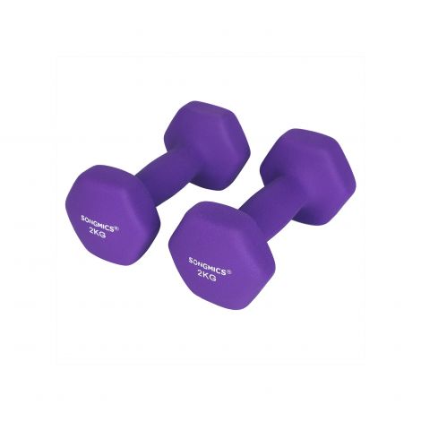 Hantlikomplekt 2 x 2 kg lilla