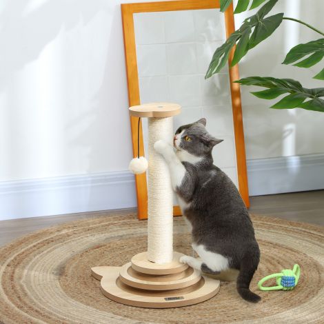 4-ühes kraapimispost, 49 cm kraapimissammas, sisal-kassikraapimispuu mängupalliga, kraapimispuu kassidele, kasside kraapimismööbel, siseruumides, tamm