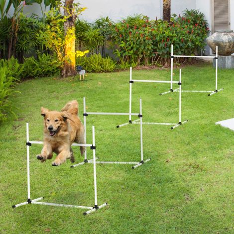 Agility takistuste komplekt koerte treeninguks 4 takistust slaalomipostid plastik valge 99x65x94cm aktiivseks koerte treeninguks.