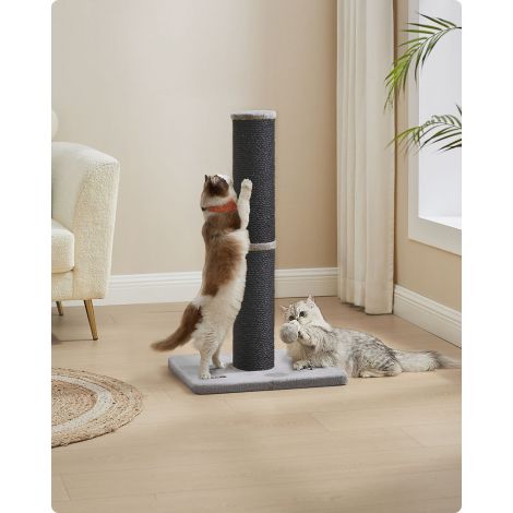 Kraapimispuu 85 cm kõrge, plüüsist pall ja kelluke tindimust.