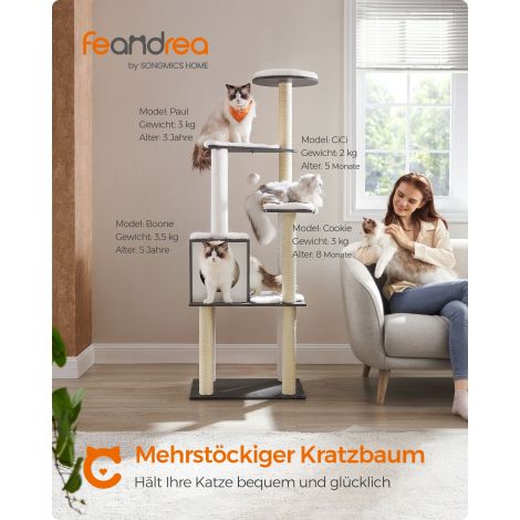 Kassi kraapimispost, 165 cm, 5 kraapimispostiga, pestavad eemaldatavad padjad