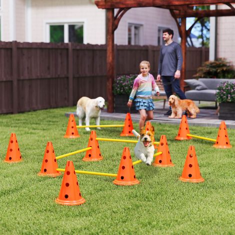 Agility komplekt koertele 6-osaline agility-varustus koerte treenimiseks tõkkevarustuse komplekt 12 koonusega 6 kõrguse reguleeritavat tõket kandekott treeningutarvikud koordinatsioonitreening mängude treenimiseks