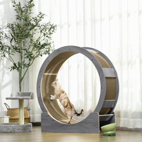Kasside jooksuratas 91 cm piduriga, kraapimislaud, kassiratas tervislikuks liikumiseks, lõõgastumiseks, hall
