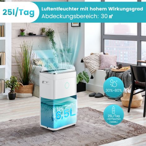 Õhukuivati õhukuivati 6,5 l veepaagiga kuni 30 m²-le 25 l/päevas