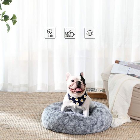 Koera voodi pehme kattega (60 cm) hall