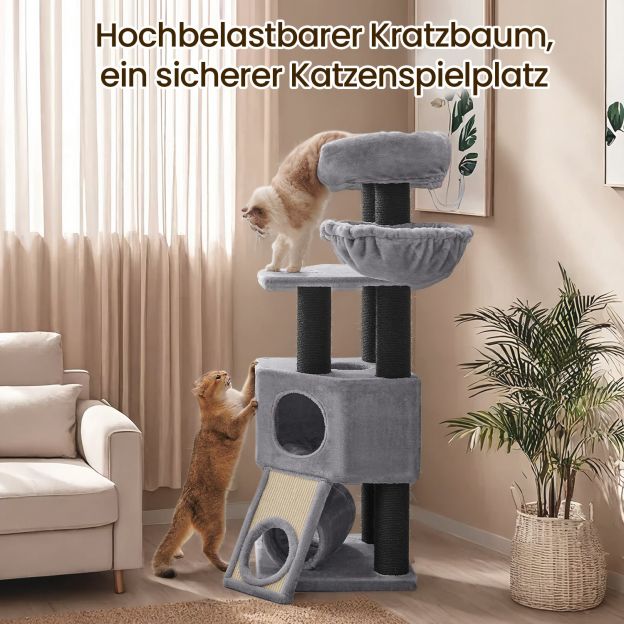 Suur kraapimispuu, kassipuu, koopaga