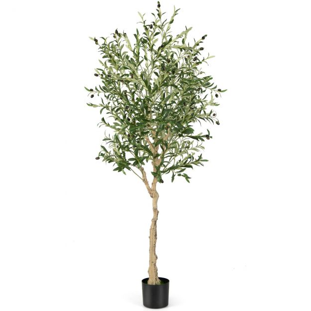 Kunstlik oliivipuu 1296 lehe ja 72 viljaga, oliivitaim 182 cm